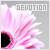 Devotion - Cinthya's collective