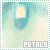 Petals of Silence - Pamela's collective