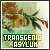 Transgenic Asylum - Ghost's collective