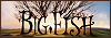 Movies: Big Fish